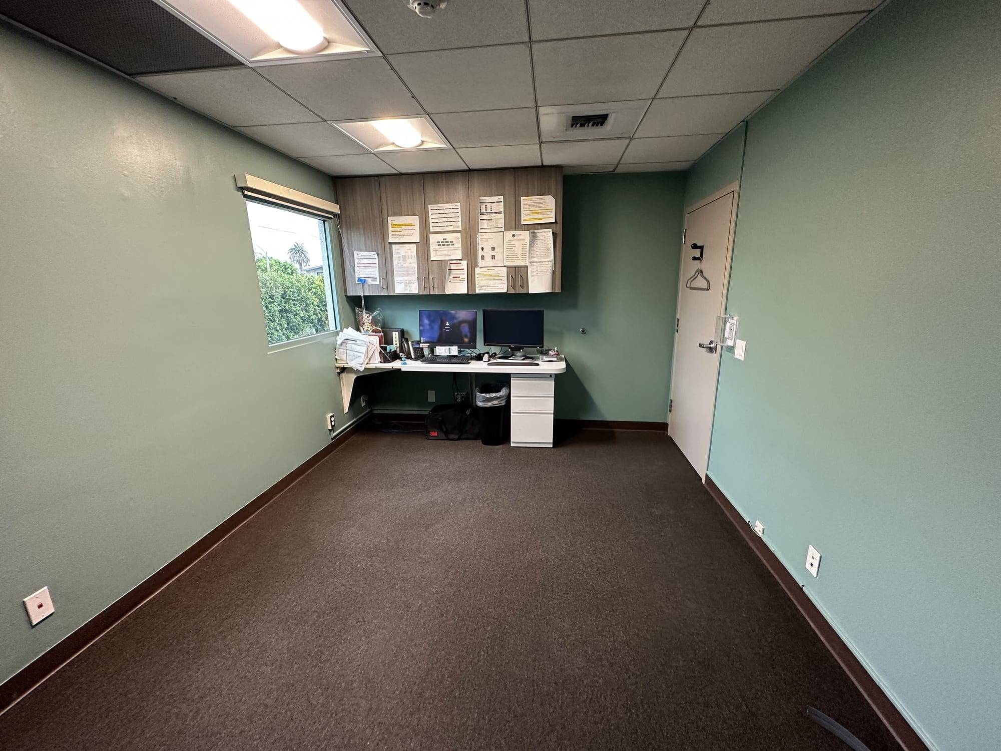 Office with muted green painted walls